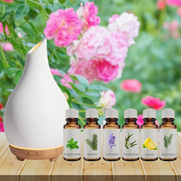 Cognitive Booster Set - 6 Essential Oils Set