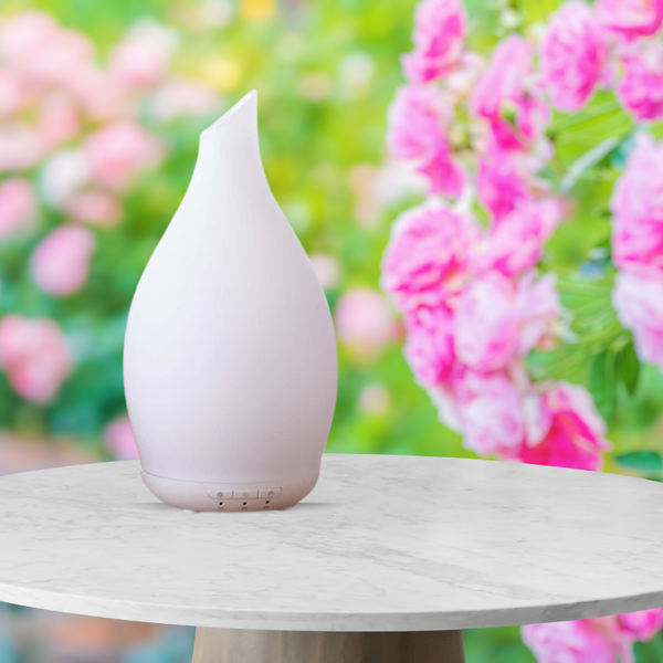 Cognitive Booster Set - 6 Essential Oils Set